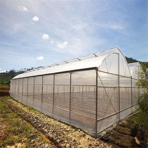 greenhouse